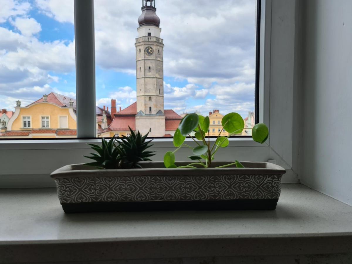 Apartament w Rynku For You Boleslawiec  Bagian luar foto